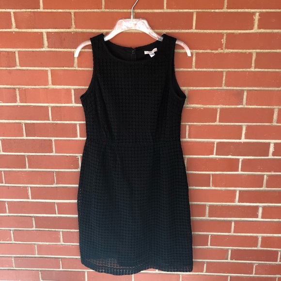 Garnet Hill Dresses & Skirts - Garnet Hill Lace Sheath Dress